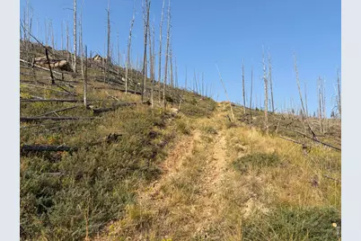 0 Pine Acres Rd, Bellvue, CO 80512 - Photo 7
