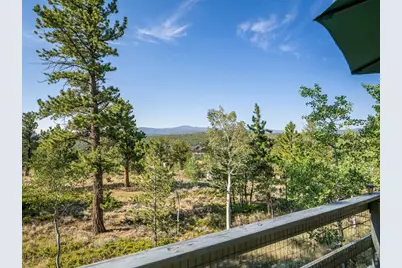 6424 Ottawa Way, Red Feather Lakes, CO 80545 - Photo 35