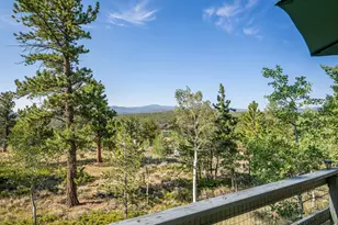 6424 Ottawa Way, Red Feather Lakes, CO 80545 - Photo 35