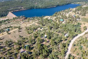 6424 Ottawa Way, Red Feather Lakes, CO 80545 - Photo 7