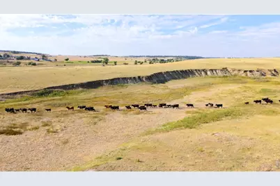29643 County Road 17/21, Elizabeth, CO 80107 - Photo 15