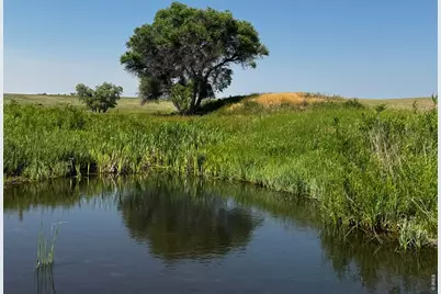 29643 County Road 17/21, Elizabeth, CO 80107 - Photo 37