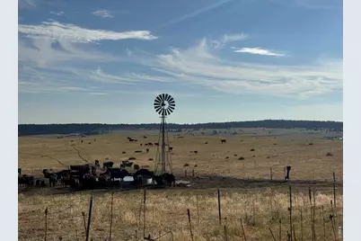 29643 County Road 17/21, Elizabeth, CO 80107 - Photo 13