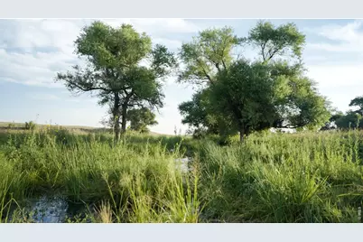 29643 County Road 17/21, Elizabeth, CO 80107 - Photo 27