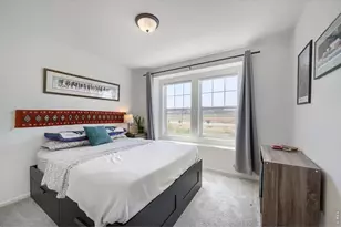 2448 Flats St, Erie, CO 80516 - Photo 19