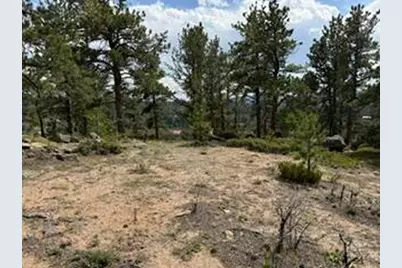 191 Cimarron Rd, Red Feather Lakes, CO 80545 - Photo 17