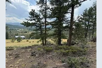 191 Cimarron Rd, Red Feather Lakes, CO 80545 - Photo 21
