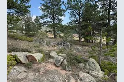 191 Cimarron Rd, Red Feather Lakes, CO 80545 - Photo 15