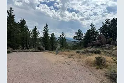 191 Cimarron Rd, Red Feather Lakes, CO 80545 - Photo 7