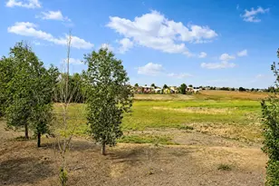 703 Crown Ridge Ln, Fort Collins, CO 80525 - Photo 29
