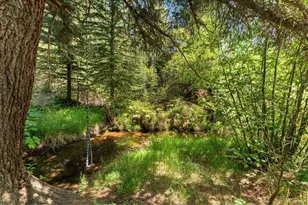 425 Caribou Rd, Nederland, CO 80466 - Photo 39