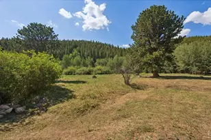 425 Caribou Rd, Nederland, CO 80466 - Photo 45