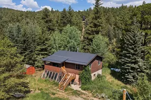 425 Caribou Rd, Nederland, CO 80466 - Photo 23