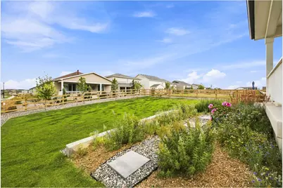 965 Sandhills St, Windsor, CO 80550 - Photo 29