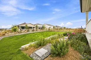 965 Sandhills St, Windsor, CO 80550 - Photo 29