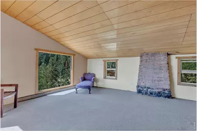 13 Modoc St, Ward, CO 80481 - Photo 15