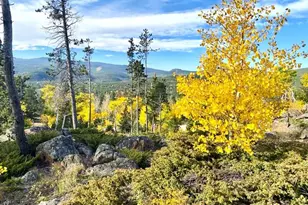 1502 Osage Trail, Red Feather Lakes, CO 80545 - Photo 45