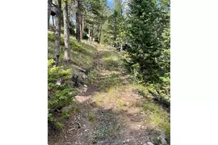 785 S Skinner Rd, Allenspark, CO 80510 - Photo 15