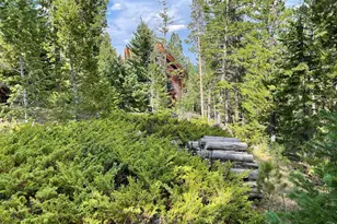 785 S Skinner Rd, Allenspark, CO 80510 - Photo 19