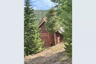 785 S Skinner Rd, Allenspark, CO 80510 - Photo 3