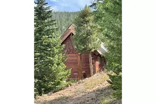 785 S Skinner Rd, Allenspark, CO 80510 - Photo 3