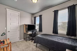 667 Overland Trail, Ault, CO 80610 - Photo 13