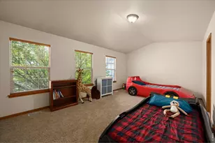 343 Scotch Pine Ct, Severance, CO 80550 - Photo 17