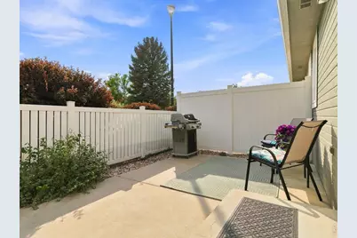 437 Pelican Cv, Windsor, CO 80550 - Photo 41