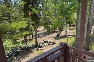 33 Carib Ct, Red Feather Lakes, CO 80545 - Photo 11