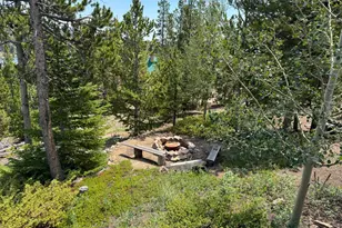 33 Carib Ct, Red Feather Lakes, CO 80545 - Photo 27