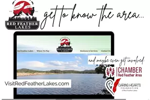 224 Six Elk Ct, Red Feather Lakes, CO 80545 - Photo 41