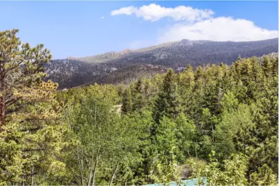 449 Highway 7 Business, Allenspark, CO 80510 - Photo 25