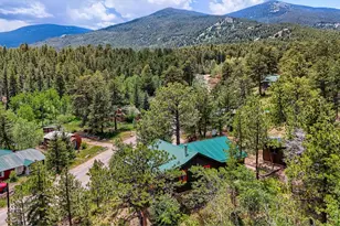 449 Hwy 7 Business, Allenspark, CO 80510 - Photo 3