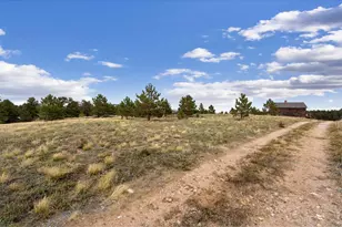 112 W Balsam Ln, Red Feather Lakes, CO 80545 - Photo 17