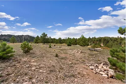 112 W Balsam Ln, Red Feather Lakes, CO 80545 - Photo 19