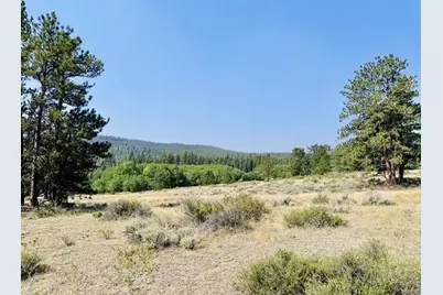 21424 W County Road 80C, Livermore, CO 80536 - Photo 3