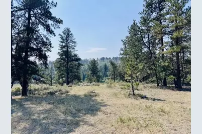 21424 W County Road 80C, Livermore, CO 80536 - Photo 5
