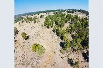 21424 W County Road 80C, Livermore, CO 80536 - Photo 11