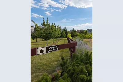 1788 Iron Wheel Dr #1, Windsor, CO 80550 - Photo 25