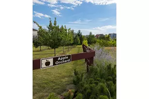 1788 Iron Wheel Dr, Windsor, CO 80550 - Photo 25