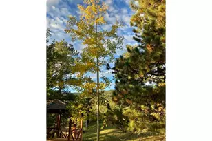 32048 Coal Creek Canyon Dr, Golden, CO 80403 - Photo 31