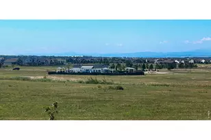 6826 School House Dr, Timnath, CO 80547 - Photo 39