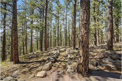 419 Wild Horse Cir, Boulder, CO 80304 - Photo 27