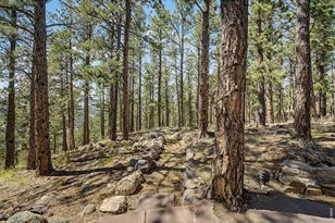 419 Wild Horse Cir, Boulder, CO 80304 - Photo 27