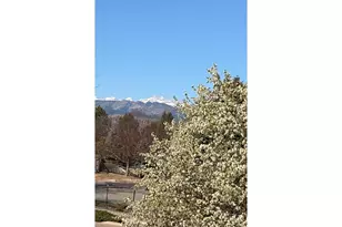 8589 Skyland Dr, Niwot, CO 80503 - Photo 43