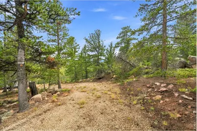 78 Wenro Ct, Red Feather Lakes, CO 80545 - Photo 25