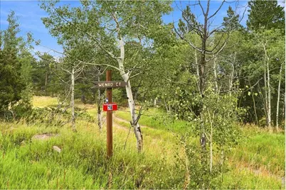 78 Wenro Ct, Red Feather Lakes, CO 80545 - Photo 49