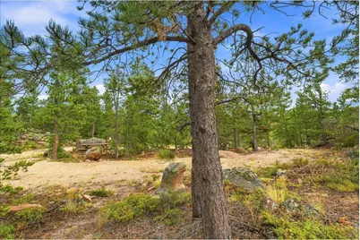 78 Wenro Ct, Red Feather Lakes, CO 80545 - Photo 43