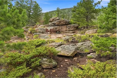 78 Wenro Ct, Red Feather Lakes, CO 80545 - Photo 35