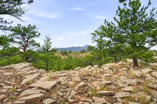 393 Gunn Ave, Berthoud, CO 80513 - Photo 11